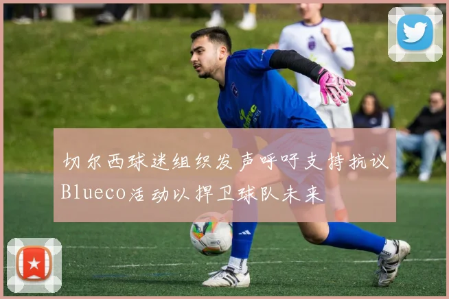 切尔西球迷组织发声呼吁支持抗议Blueco活动以捍卫球队未来