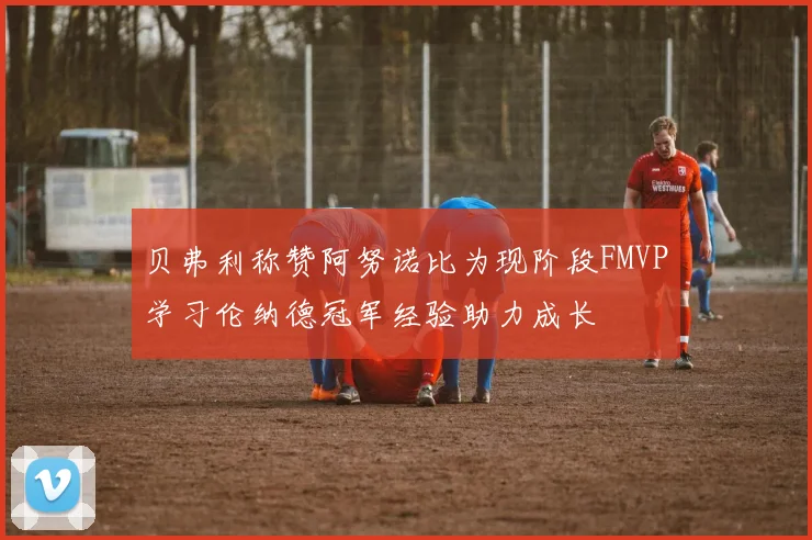 贝弗利称赞阿努诺比为现阶段FMVP学习伦纳德冠军经验助力成长