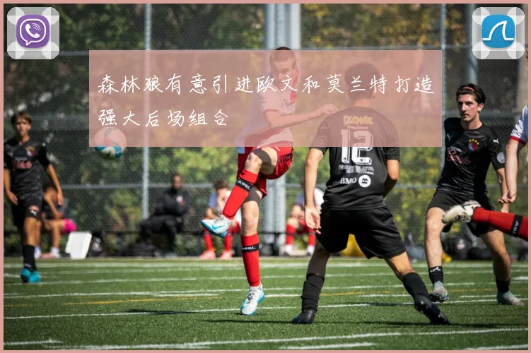 森林狼有意引进欧文和莫兰特打造强大后场组合